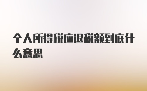 个人所得税应退税额到底什么意思