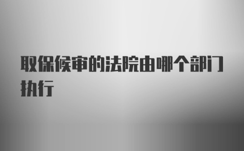 取保候审的法院由哪个部门执行