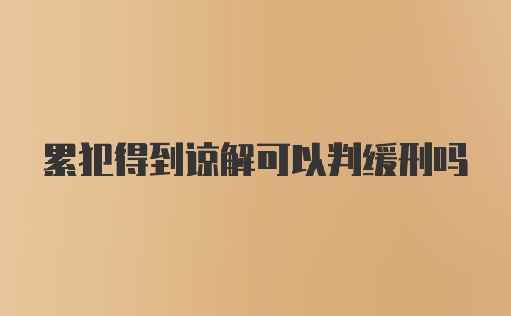 累犯得到谅解可以判缓刑吗