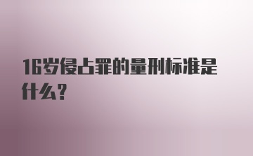 16岁侵占罪的量刑标准是什么？