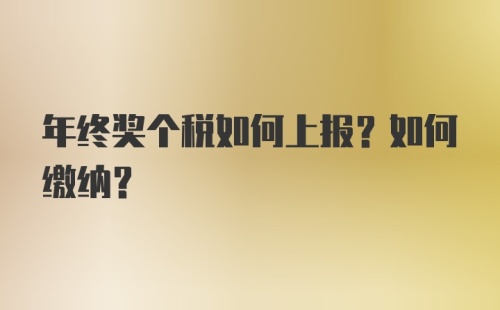 年终奖个税如何上报？如何缴纳？