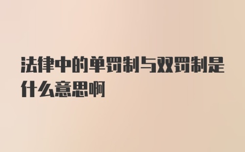 法律中的单罚制与双罚制是什么意思啊