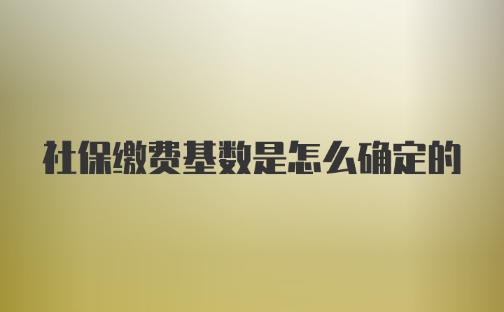 社保缴费基数是怎么确定的