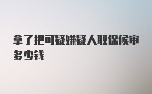 拿了把可疑嫌疑人取保候审多少钱