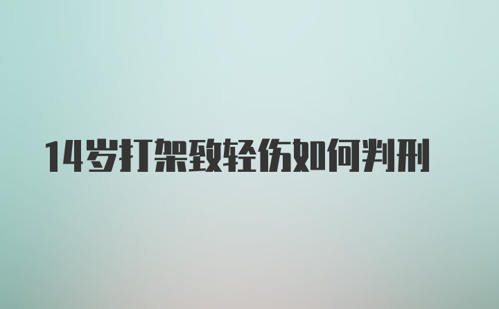 14岁打架致轻伤如何判刑