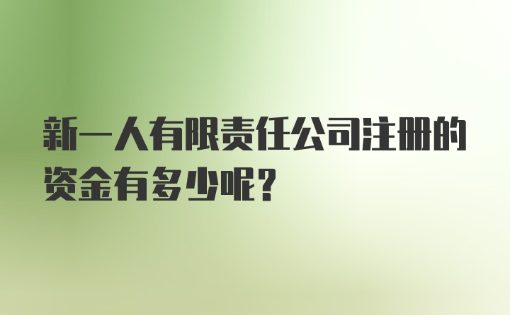 新一人有限责任公司注册的资金有多少呢？