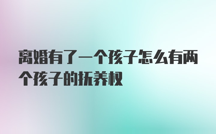 离婚有了一个孩子怎么有两个孩子的抚养权