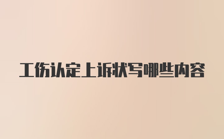 工伤认定上诉状写哪些内容