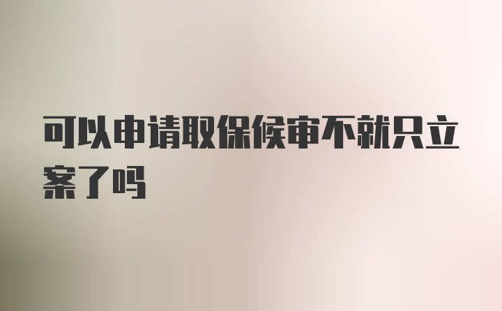 可以申请取保候审不就只立案了吗