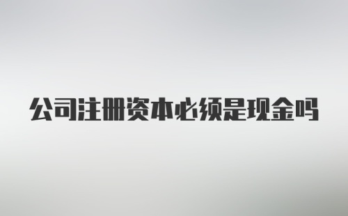 公司注册资本必须是现金吗