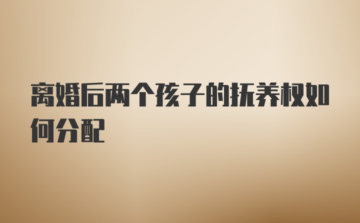 离婚后两个孩子的抚养权如何分配