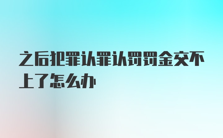 之后犯罪认罪认罚罚金交不上了怎么办