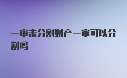 一审未分割财产一审可以分割吗