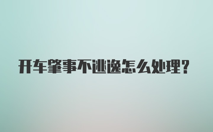 开车肇事不逃逸怎么处理？