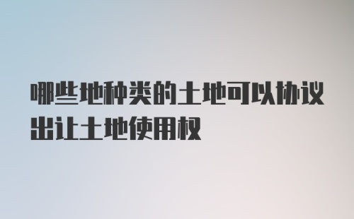 哪些地种类的土地可以协议出让土地使用权