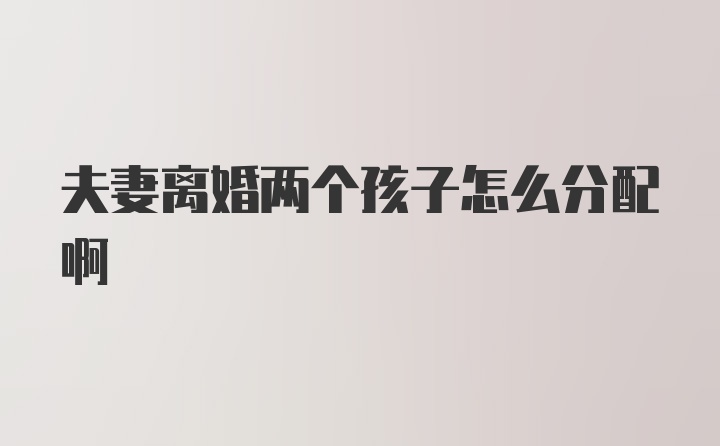 夫妻离婚两个孩子怎么分配啊