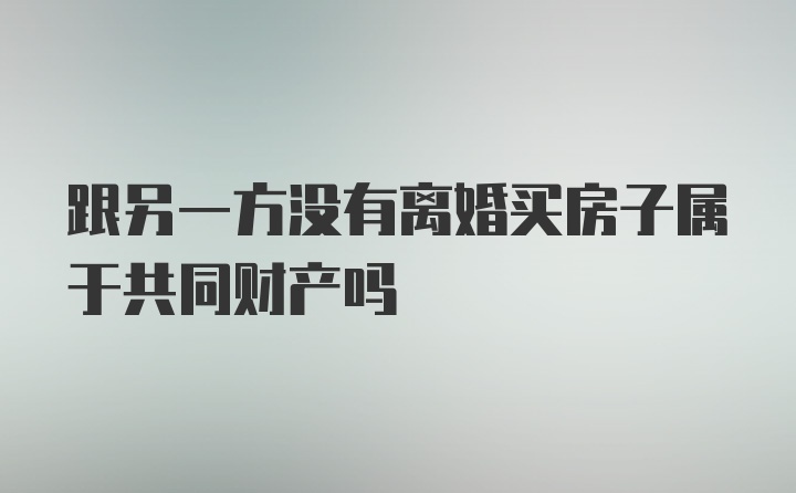 跟另一方没有离婚买房子属于共同财产吗