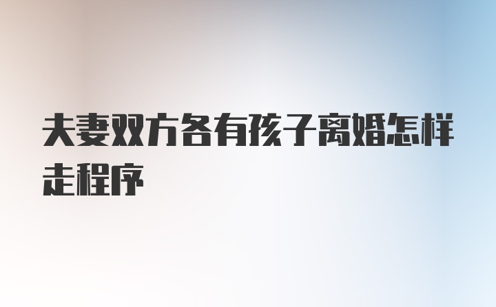 夫妻双方各有孩子离婚怎样走程序