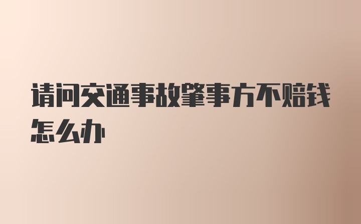 请问交通事故肇事方不赔钱怎么办