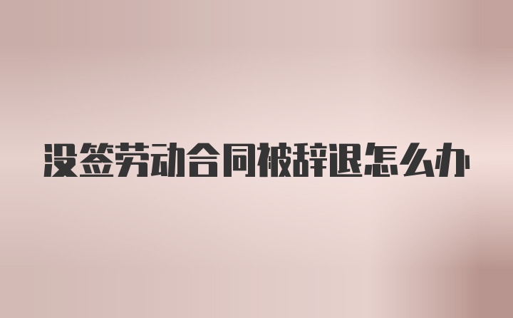 没签劳动合同被辞退怎么办