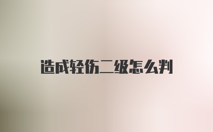 造成轻伤二级怎么判