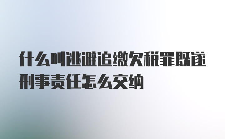 什么叫逃避追缴欠税罪既遂刑事责任怎么交纳