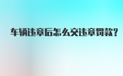 车辆违章后怎么交违章罚款？