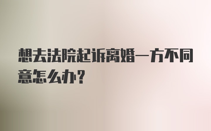 想去法院起诉离婚一方不同意怎么办？