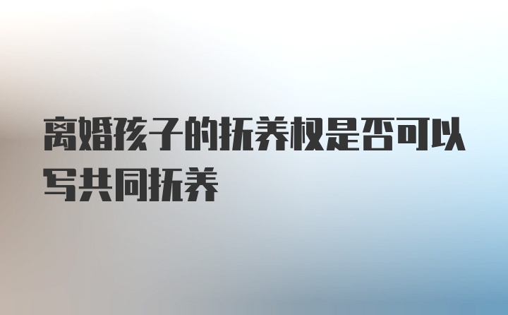 离婚孩子的抚养权是否可以写共同抚养