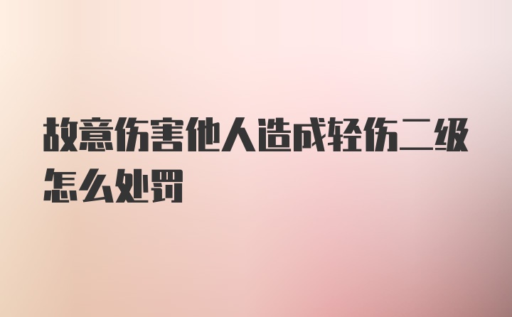 故意伤害他人造成轻伤二级怎么处罚