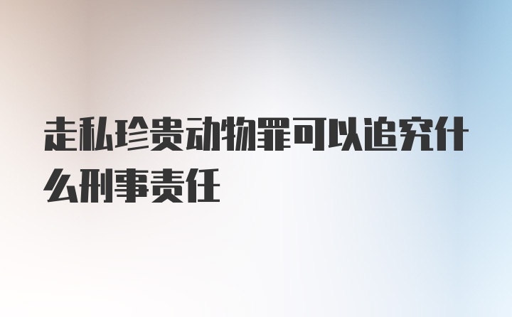 走私珍贵动物罪可以追究什么刑事责任