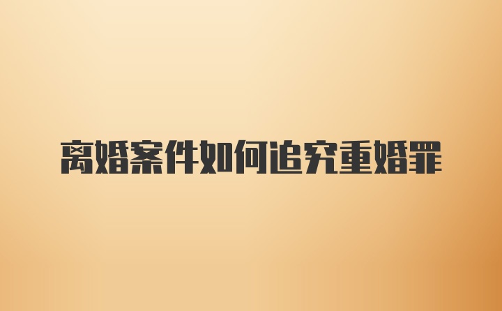 离婚案件如何追究重婚罪