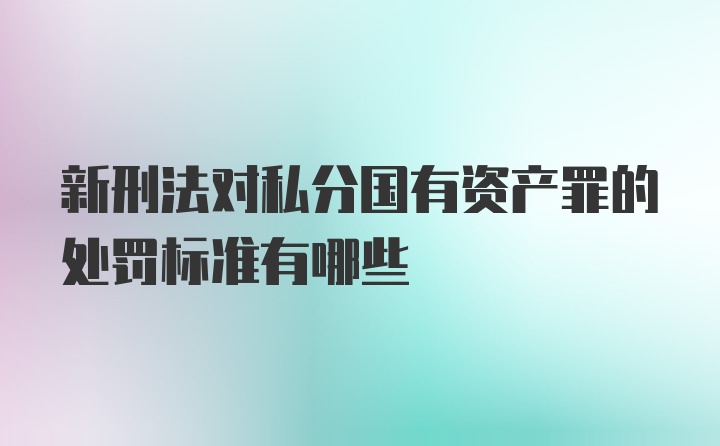 新刑法对私分国有资产罪的处罚标准有哪些