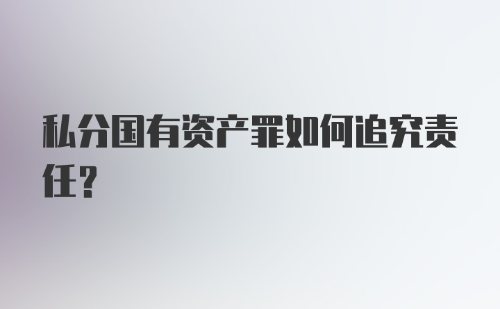 私分国有资产罪如何追究责任?