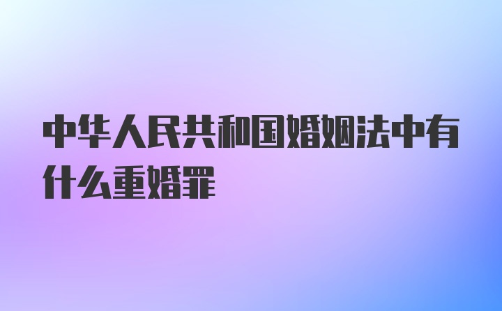 中华人民共和国婚姻法中有什么重婚罪