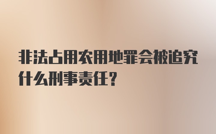 非法占用农用地罪会被追究什么刑事责任？