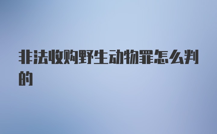 非法收购野生动物罪怎么判的