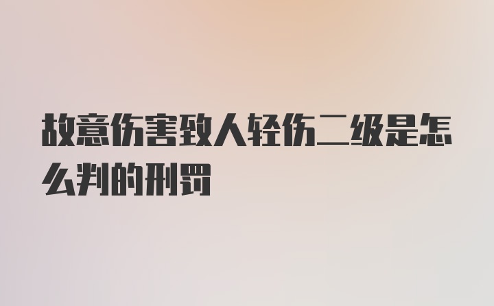 故意伤害致人轻伤二级是怎么判的刑罚