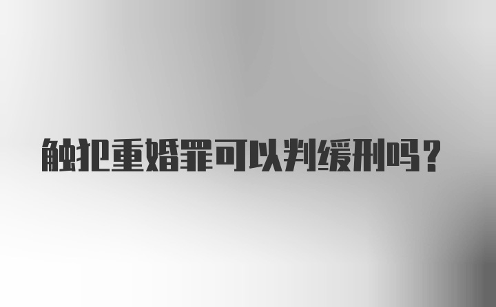 触犯重婚罪可以判缓刑吗?