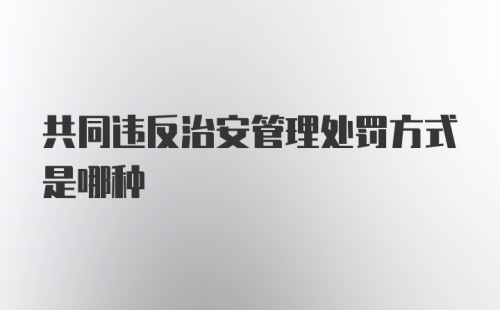 共同违反治安管理处罚方式是哪种