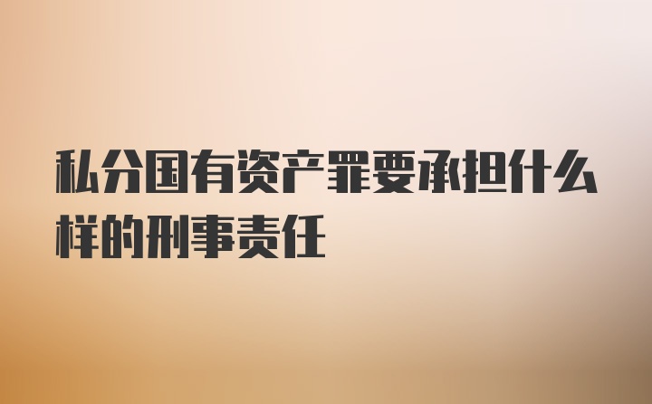 私分国有资产罪要承担什么样的刑事责任