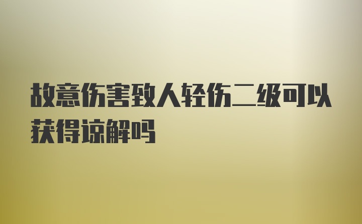 故意伤害致人轻伤二级可以获得谅解吗