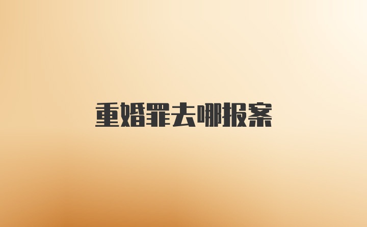 重婚罪去哪报案