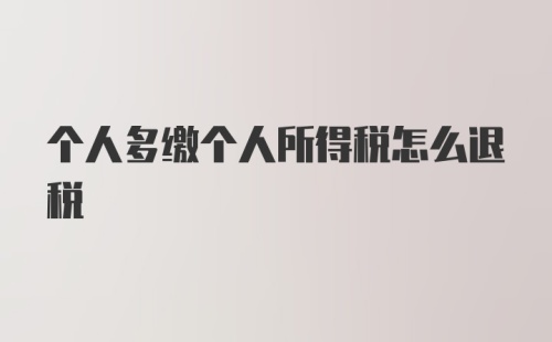 个人多缴个人所得税怎么退税