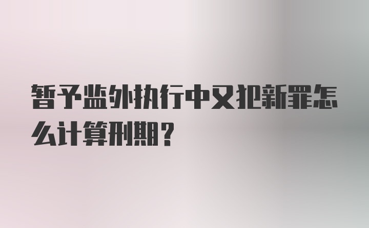 暂予监外执行中又犯新罪怎么计算刑期？