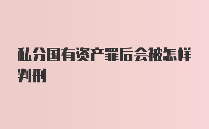 私分国有资产罪后会被怎样判刑