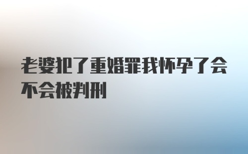 老婆犯了重婚罪我怀孕了会不会被判刑