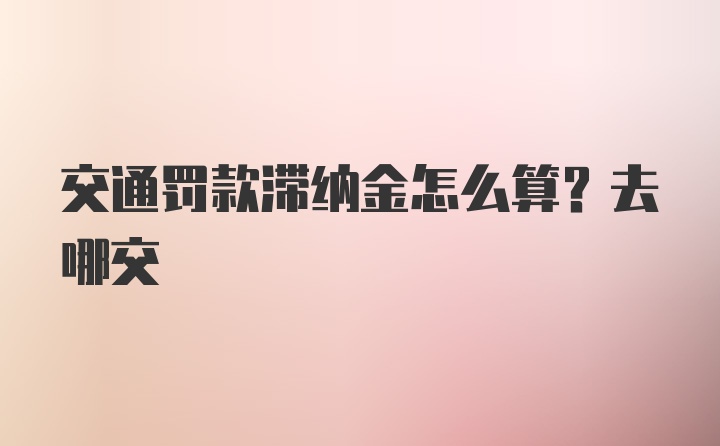 交通罚款滞纳金怎么算？去哪交