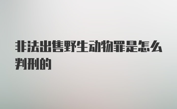 非法出售野生动物罪是怎么判刑的