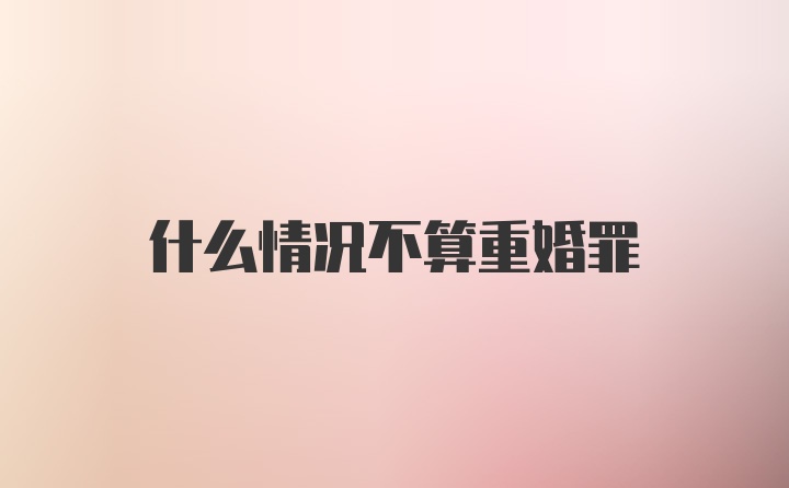 什么情况不算重婚罪